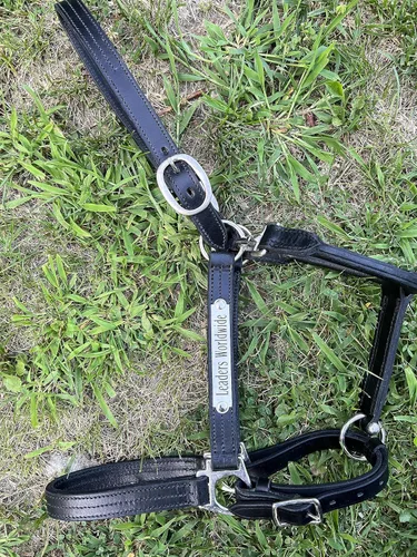 Vista 3 de Leaders - Cabestro de cuero para caballos con placa de nombre grabada personalizada, cabestro para caballo, negro/plateado