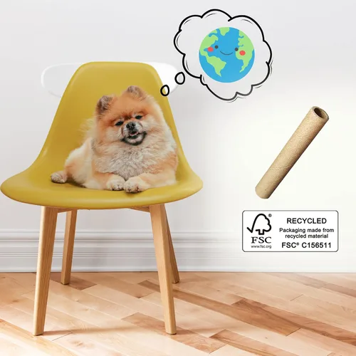 Vista 7 de Home Bolsas compostables para excrementos de perro con asas, bolsas extragruesas a prueba de fugas, sin perfume y ecológicas, 9 x 13 pulgadas