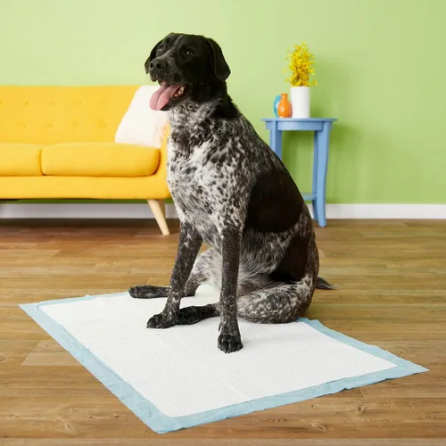 Vista 7 de Four Paws Almohadillas Wee-Wee, gigantescas, 18 por paquete (144 unidades)