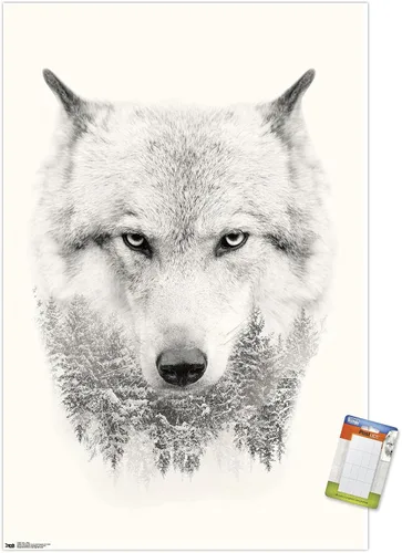 Vista 11 de Trends International Póster de pared de lobo - árboles, 14.725 x 22.375 pulgadas, versión enmarcada de madera de granero