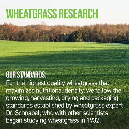 Vista 6 de On Target Living Tabletas de hierba de trigo - 500 tabletas USDA Organic