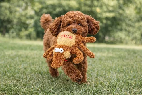 Vista 4 de Multipet 's - Juguete de peluche para perro de garrapata de 6 pulgadas, mediano