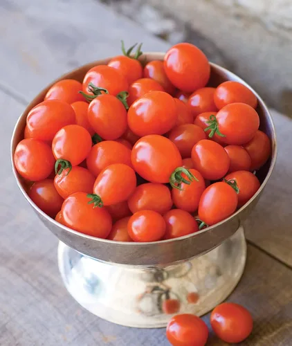 Vista 6 de Burpee Napa Grape - Semillas de tomates uva, 30 semillas