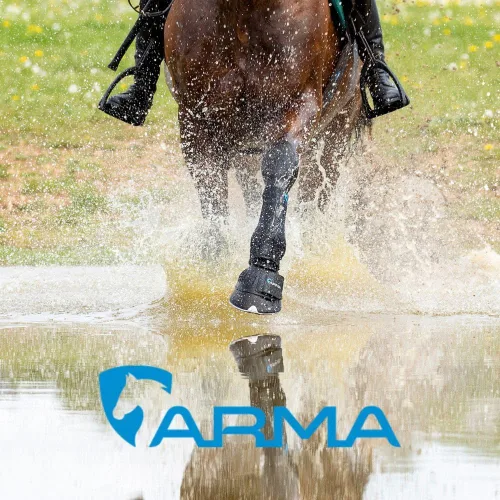 Vista 2 de Botas de campana con campanilla para caballo Shires ARMA Azul bebé