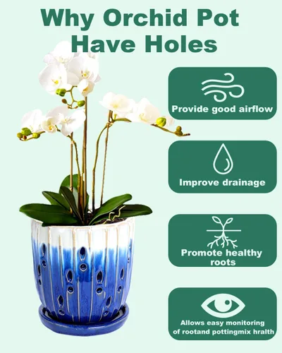 Vista 5 de Maceta de cerámica para orquídeas de 6 pulgadas con agujeros y Azul degradado