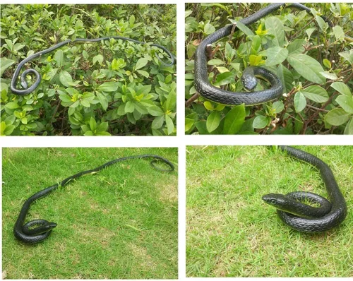 Vista 6 de Serpiente mamba realista de goma negro juguete 52 pulgadas de largo