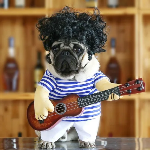Vista 3 de Idepet Disfraz de Halloween para mascotas, divertido disfraz de guitarra para perro, ropa para mascotas, traje para cachorros, perros pequeños