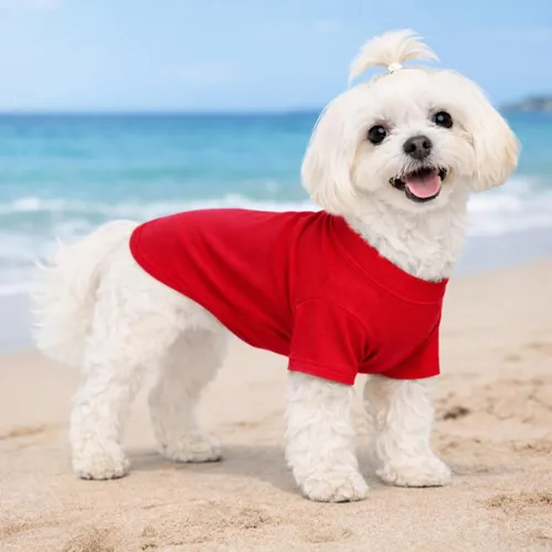 Vista 38 de Lovelonglong 2019 - Ropa para mascotas, Disfraces para Perro, Ropa Camisetas en blanco para Perros Grande Medianos Pequeños 100% Algodón 18