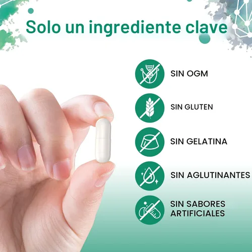 Vista 6 de Sambugra Suplementos de TUDCA para el Hígado 1100mg, Suplemento de Sal Biliar TUDCA de Fuerza Ultra Testado por Terceros, Apoyo Hepático