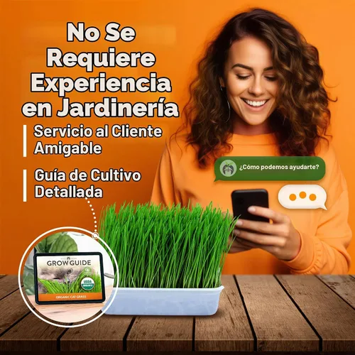 Vista 8 de HOME GROWN Mezcla orgánica de semillas de hierba de gato (avena y cebada) – 4 oz – Maceta de interior fácil