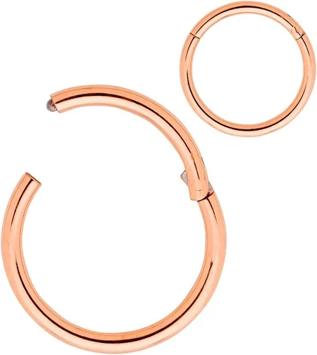 Vista 29 de 365 Sleepers - Piercing para el cuerpo de acero quirúrgico 316L, 20G, 18G, 16G, 14G, 12G, 10G, 8G, 6G, con sección abisagrado, se vende por unidad