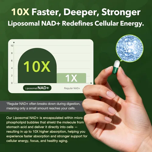 Vista 4 de Suplemento liposomal NAD con resveratrol 1200 mg por porción - NAD Resveratrol para mujeres y hombres - Suplemento NAD+ de alta pureza de 1200 mg