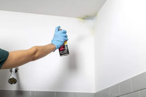 Vista 2 de Rust-Oleum Zinsser 287512 - Base en aerosol con bloqueo de moldeo, 13 onzas, color blanco