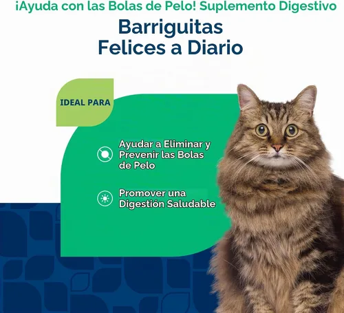 Vista 4 de NaturVet Suplemento de ayuda para bolas de pelo para gatos - Plus Pumpkin - Ayuda a eliminar y prevenir bolas de pelo - 60 masticables suaves