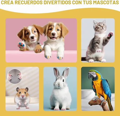 Vista 6 de Bolígrafos de esmalte de uñas para perros, secado rápido, 12