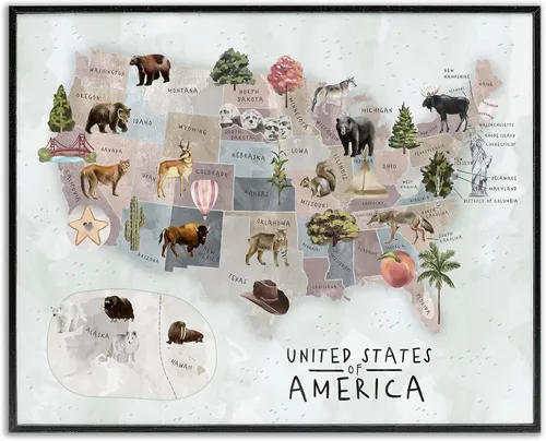 Vista 17 de Estados Unidos de América Mapa de Animales Kid's' Arte Giclée enmarcado Blanco costero (Texturado)