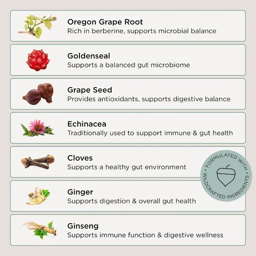 Vista 3 de Zuma Nutrition Candida Cleanse Tonic - Candida Support & Candida Cleanse Detox con uva Oregon, sello de oro y equinácea - Suplemento herbario