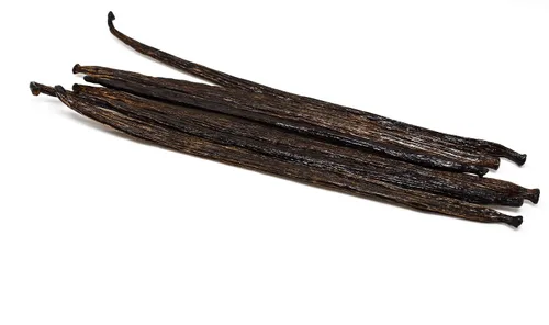 Vista 6 de Frijoles de vainilla Bourbon de Slofoodgroup procedente de la planta vanilla planifolia