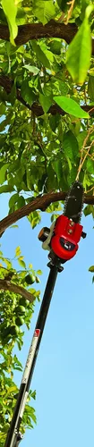 Vista 3 de TrimmerPlus - Accesorio para sierra de poste para equipos de exteriores multiuso compatibles a gas, sierra de 8 pulgadas, extensión de poste de 11