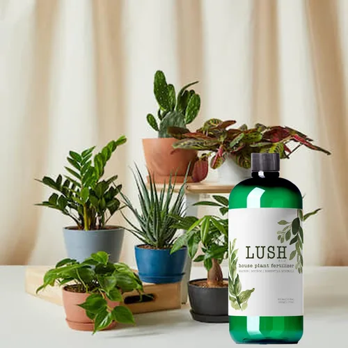 Vista 7 de NilocG Aquatics Fertilizante para plantas de interior exuberante