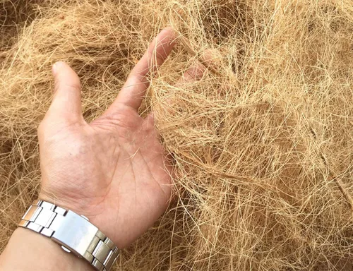 Vista 3 de Fibra de Coco, 4.5 oz. Ropa de cama cómoda para pájaros y animales pequeños, material de nido para construcción de nidos, escondites, plantas