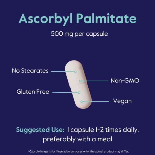 Vista 6 de BESTVITE Palmitato de ascorbilo 500 mg (120 cápsulas vegetarianas) - Sin estearatos - Sin rellenos - Sin agentes de flujo