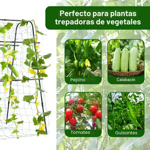 Vista 3 de Enrejado de jardín para plantas trepadoras al aire libre, enrejado de pepino de metal para plantas al aire libre, verduras, frutas, flores, vides