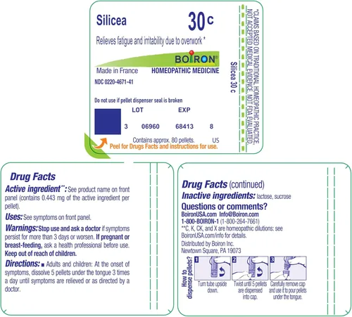 Vista 9 de Boiron Silicea 30C Medicina homeopática para la fatiga - 80 pellets Gránulos homeopáticos de medicina única para la fatiga. Tamaño: 80 pellets.
