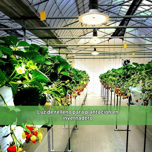 Vista 9 de Luces LED de Crecimiento para Exteriores, Luz de Crecimiento de Cadena Impermeable, Luces de Crecimiento de Plantas de Espectro Completo con Cable