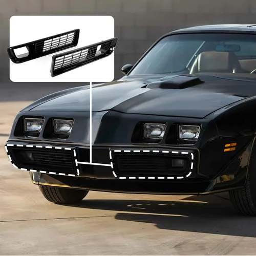 Vista 6 de AMSRPAC - Cubierta de rejilla de parachoques delantero, repuesto para parrilla de parachoques inferior compatible con Pontiac Firebird Trans Am 1979