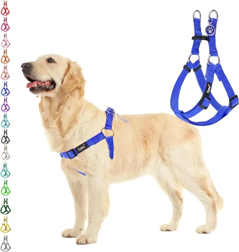 Vista 47 de Pupteck - Arnés para perros sin jalar, suave, ajustable, de nailon, talla básica, chaleco para cachorro, para caminar al aire libre con etiqueta