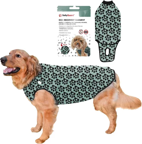 Vista 26 de Traje de Recuperación Quirúrgica BellyGuard para Perros, Mameluco para Perros para Cuidado Post-Operatorio, Ropa de Recuperación para Perros Hembra