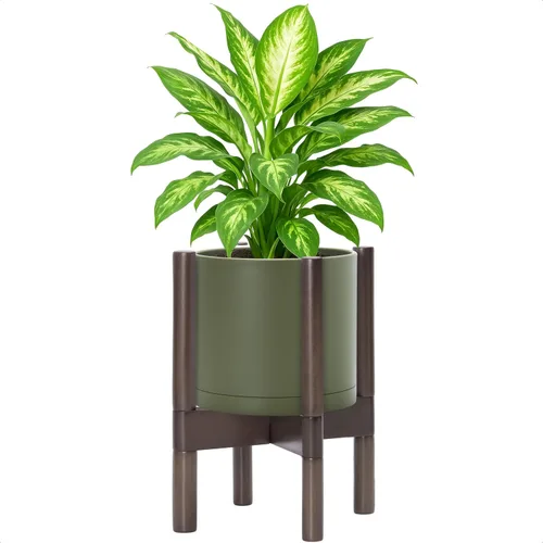 Vista 38 de Maceta de D'vine Dev con soporte - Maceta de flores de cilindro de plástico de 8.0 pulgadas con soporte de madera para interiores, maceta mate negra