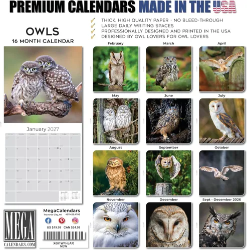 Vista 353 de Calendario de grises africanos 2025 2026 – Planificador mensual de pared de aves africanas – 12 x 18 pulgadas (abierto), calendario de pared