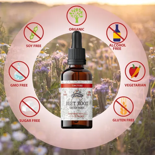 Vista 4 de Suplemento de raíz de remolacha – Absorción extra rápida de remolacha líquida – Extracto orgánico de tintura de raíz de remolacha, sin gluten, 2