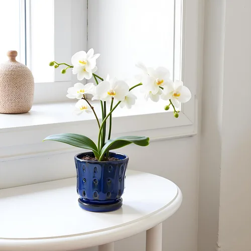 Vista 4 de Ceramic Orchid Pots with Holes 5'' Orchid Planter Set of 2 Azul oscuro