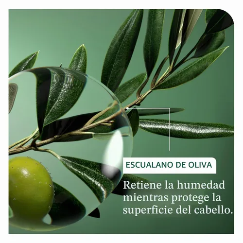 Vista 4 de Biolage Strength Recovery Shampoo – For Damaged Hair Reduces Breakage & Detangles, Strengthens and Moisturizes, For Damaged Hair, With Olive