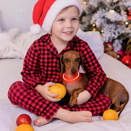 Vista 6 de Vizpet - Collares para perros pequeños, collar ajustable con luz LED, recargable por USB, collar de seguridad brillante para gatos y perros (naranja)