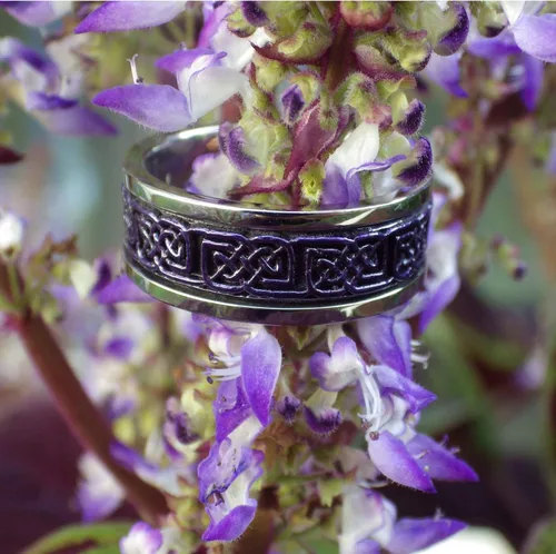 Vista 4 de Anillo giratorio celta real de acero inoxidable majestuoso vikingo antiansiedad tallas 5-17 para mujeres y hombres