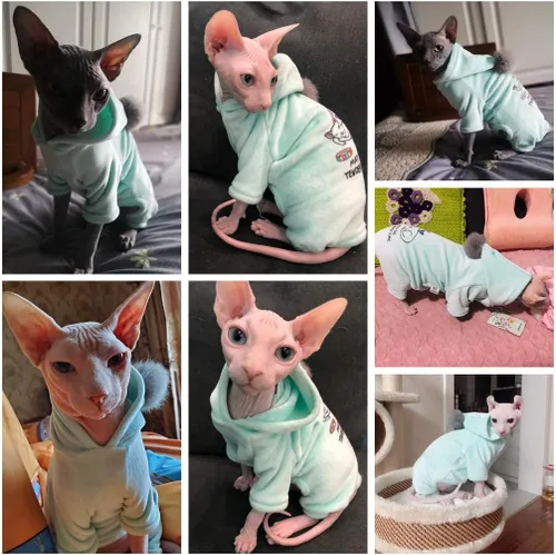 Vista 5 de Ropa para gatos sin pelo, camisa con capucha de algodón, transpirable, otoño e invierno, ropa cálida para gato, suéter chaleco para Sphynx, Cornish