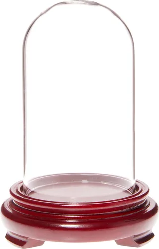 Vista 2 de Plymor Cúpula de cristal de 2.5 x 4.5 pulgadas (base con patas de chapa de madera negra)