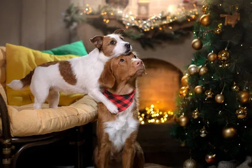 Vista 5 de Bandanas para perros – 2 piezas de bufanda clásica triangular a cuadros para perro, pajarita, juego de pañuelos lavables para perros pequeños a