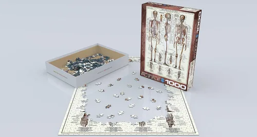 Vista 3 de EuroGraphics Sistema esquelético (gráfico) rompecabezas (1000 piezas) (6000-3970), marrón