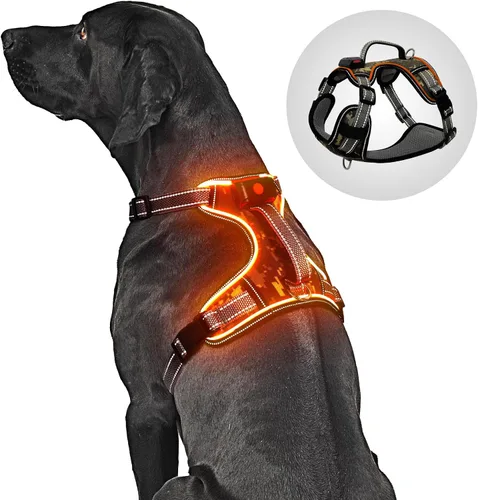 Vista 12 de Arnés para perro con luz LED para caminar de forma segura por la noche, chaleco de malla suave que brilla en la oscuridad, chaleco para perros