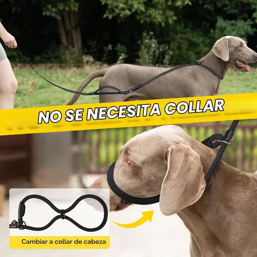 Vista 2 de Fida Correa de perro deslizante de 6 pies para perros grandes, correa