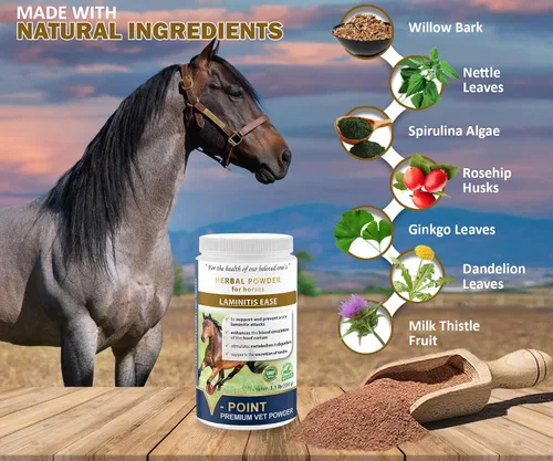 Vista 4 de V-POINT - Laminitis Ease - Suplementos de pezuñas para caballos - Producto para el cuidado de pezuñas de caballo a base de polvo natural - Ideal