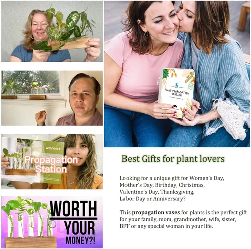 Vista 4 de KAXYEW - Estación de propagación de plantas, tubos de propagación de plantas, regalos para amantes de las plantas, soporte de tubo de ensayo, jarrón