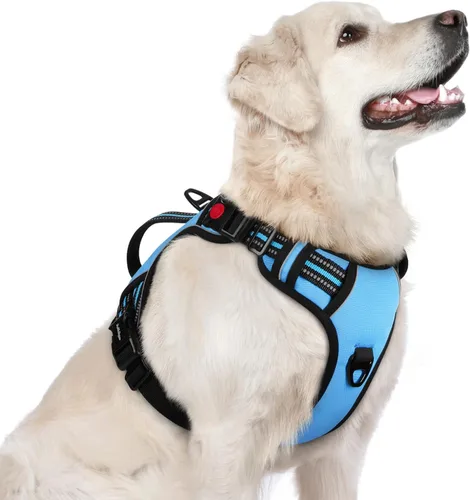 Vista 10 de rabbitgoo Arnés para perro de tamaño pequeño, arnés para mascotas sin tirones con mango acolchado suave, chaleco reflectante ajustable con 3