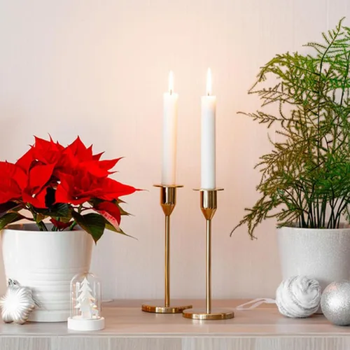 Vista 5 de WANDIC 1 molde para velas, moldes cilíndricos de plástico transparente, velas de mesa de emergencia para iglesia, Navidad, día de San Valentín