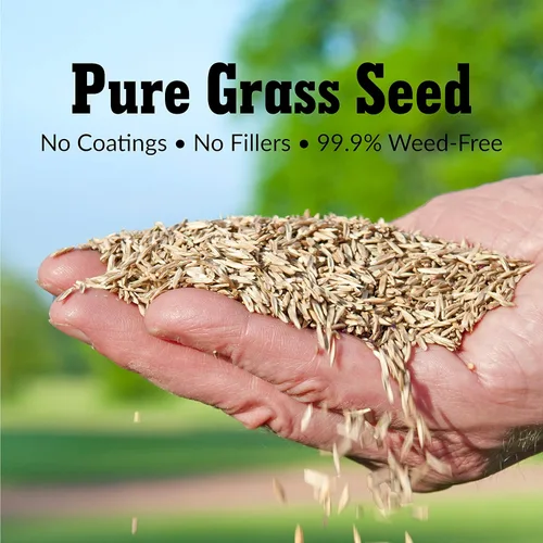 Vista 4 de GreenView Pure Grass Seed Sunny Mixture, bolsa de 3 libras. Cubre hasta 1,500 pies cuadrados.